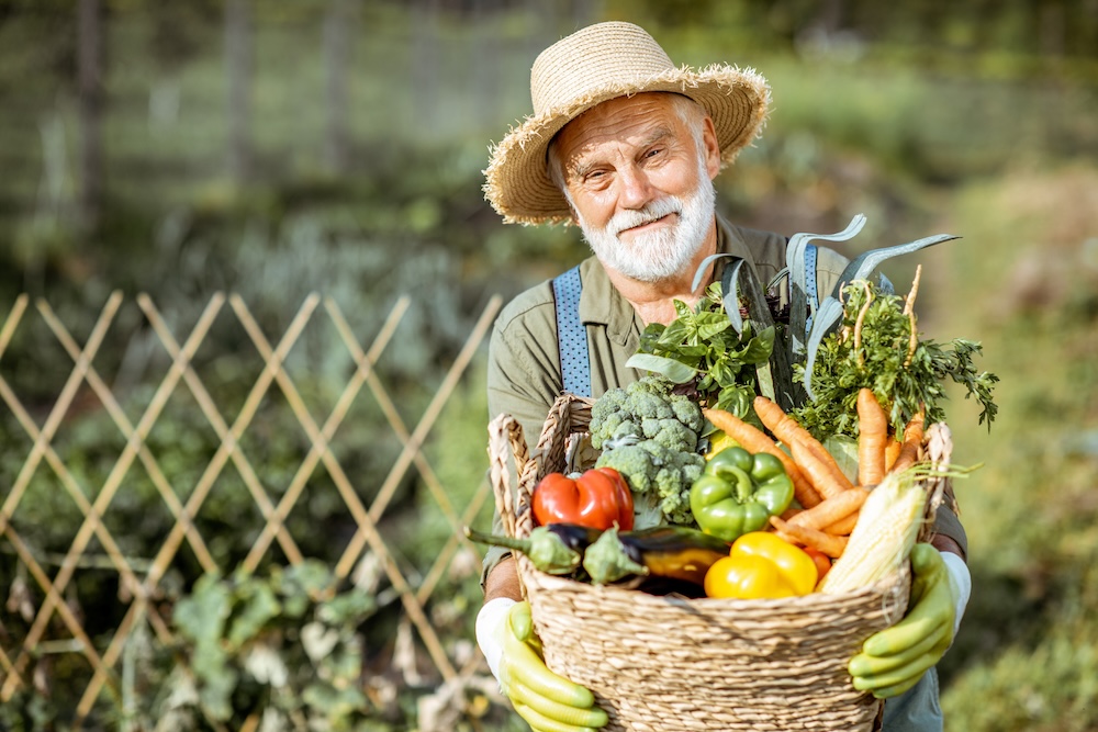 Smiling-Older-White-Bearded-Gentleman-Holding-a-Basket-of-Fresh-Vegetables